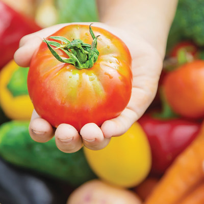How to grow your plants from seeds 